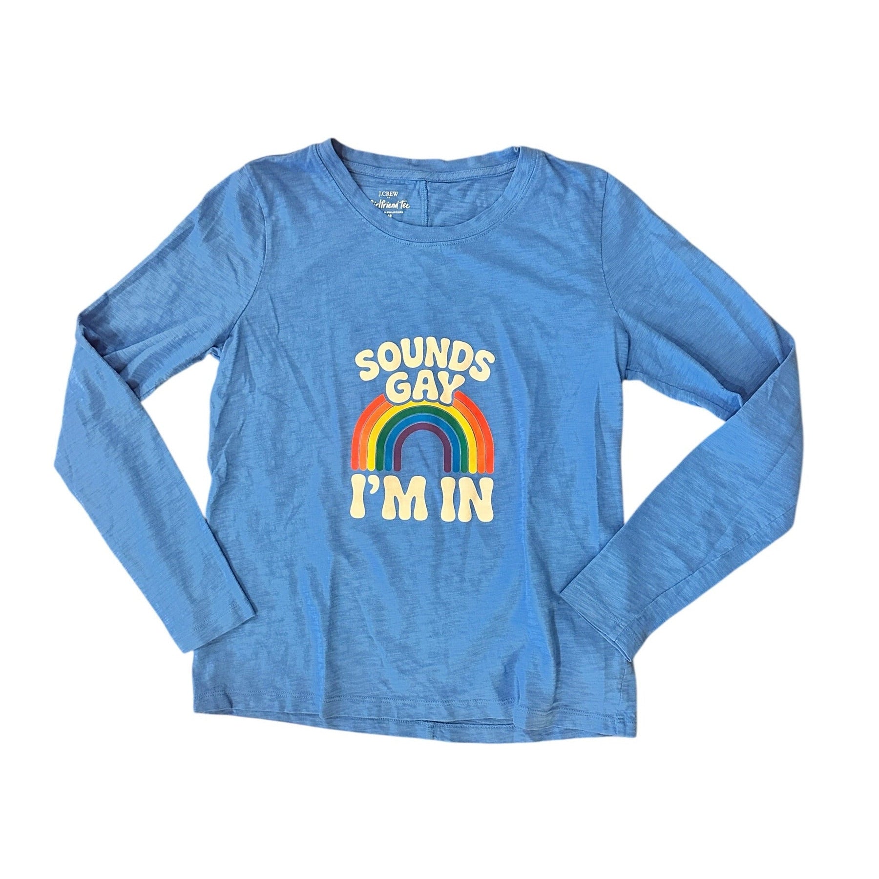 Sounds Gay, I'm in - Long Sleeve Tee - Upcycled