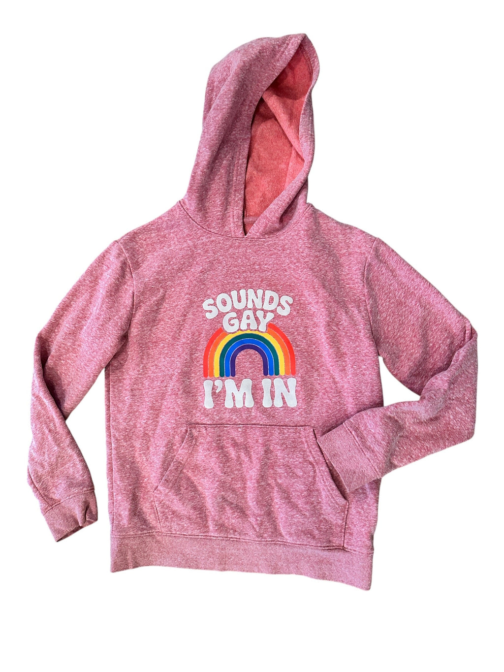 Sounds Gay, I'm in - Youth Hoodie - Upcycled
