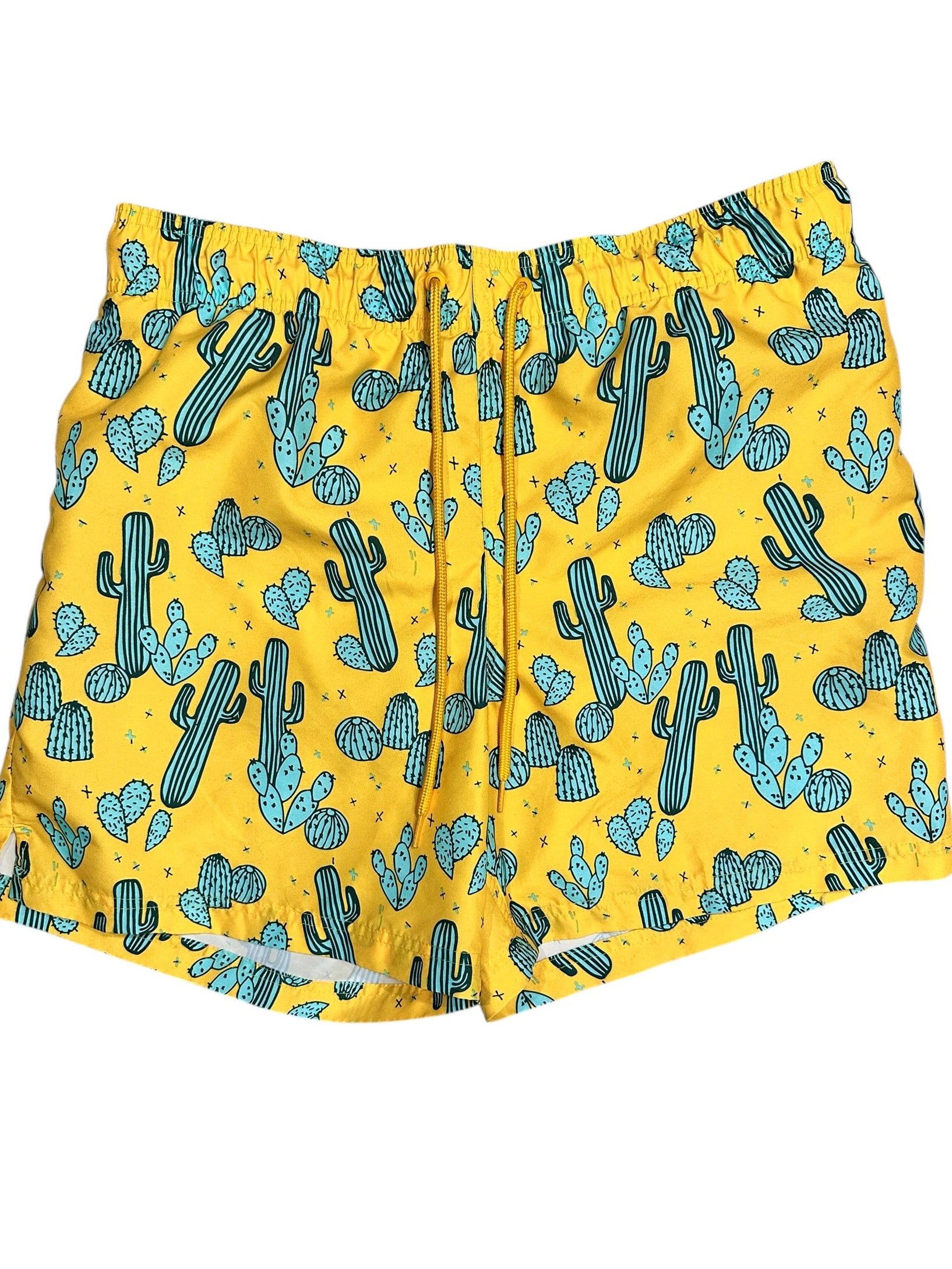 Size Large - George Cactus Swim Trunk